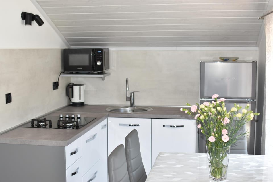 Kitchen or kitchenette, dishwasher, minibar, stove