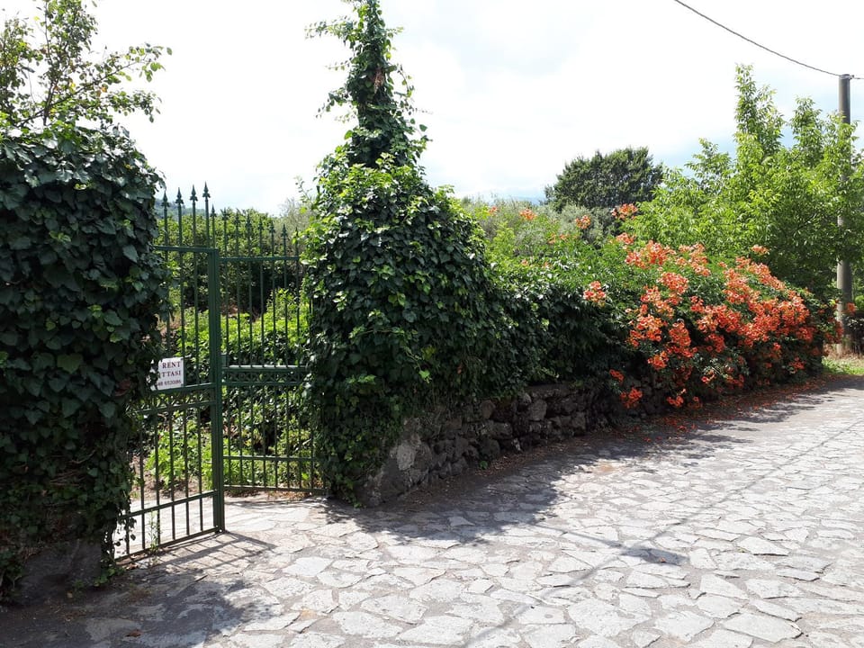 Villa Vecchio House in Sicily