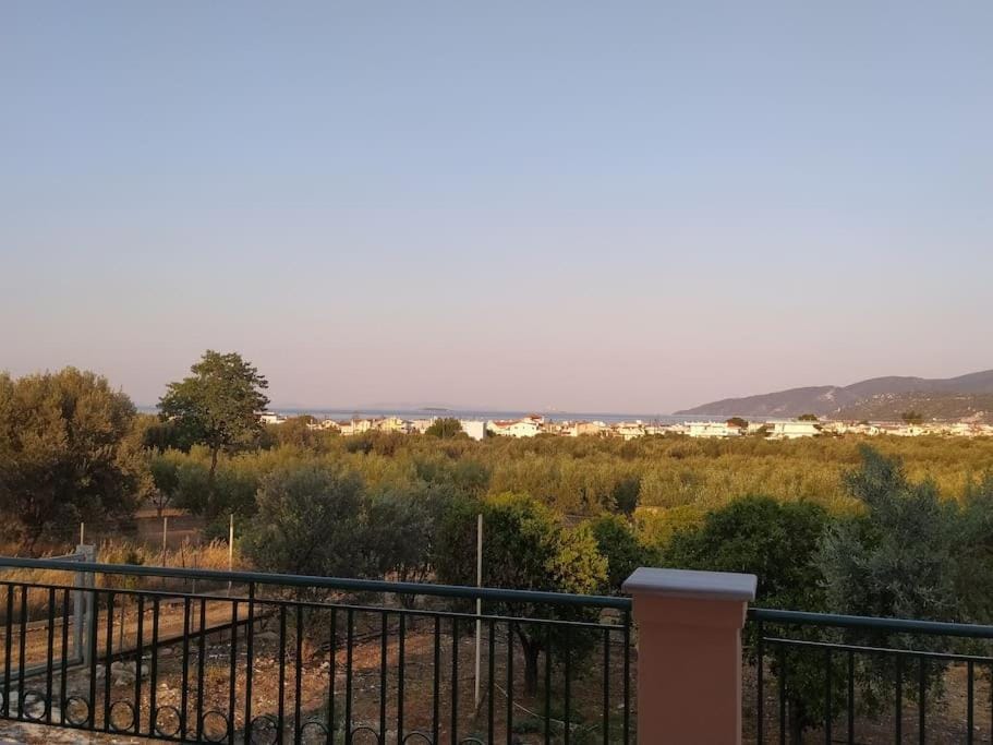 View (from property/room)