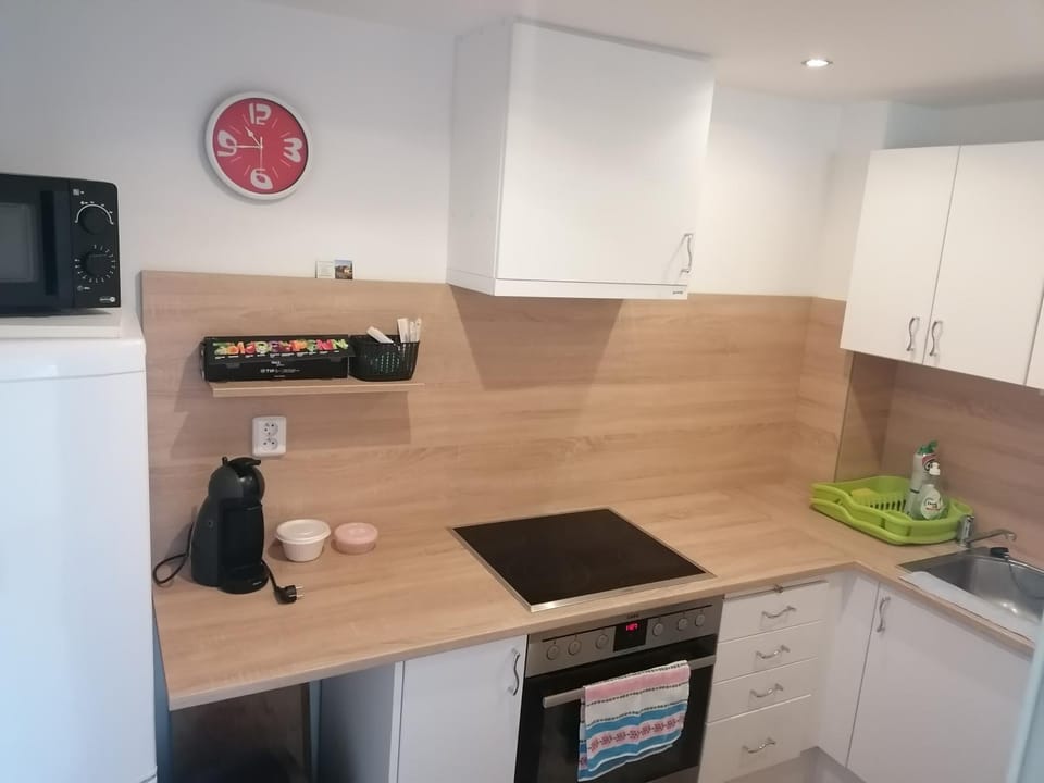 Apartmán Dobrá mysl Apartment in Czechia