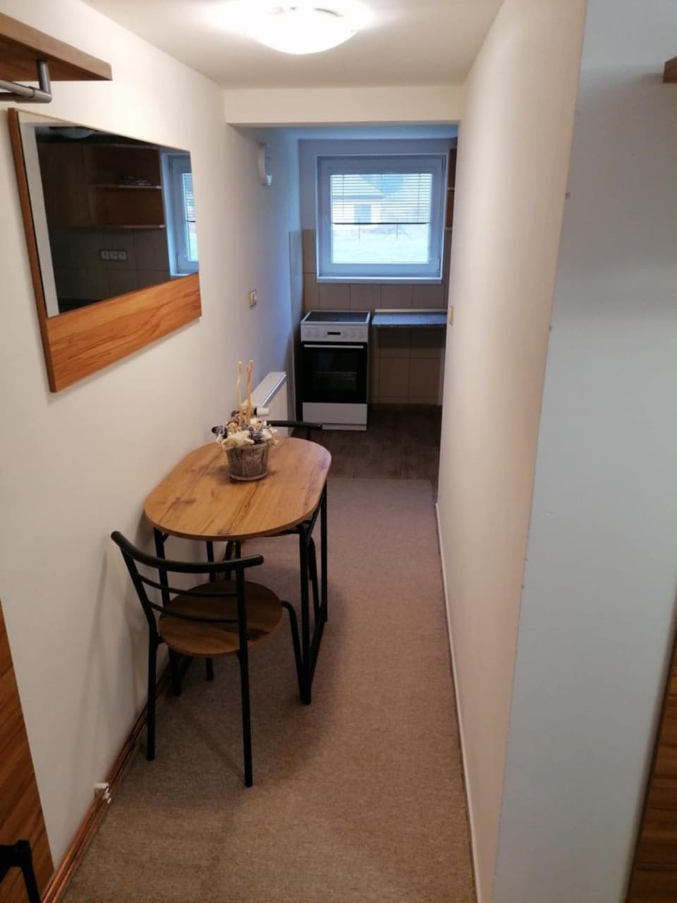 Apartmán Dobrá mysl Apartment in Czechia