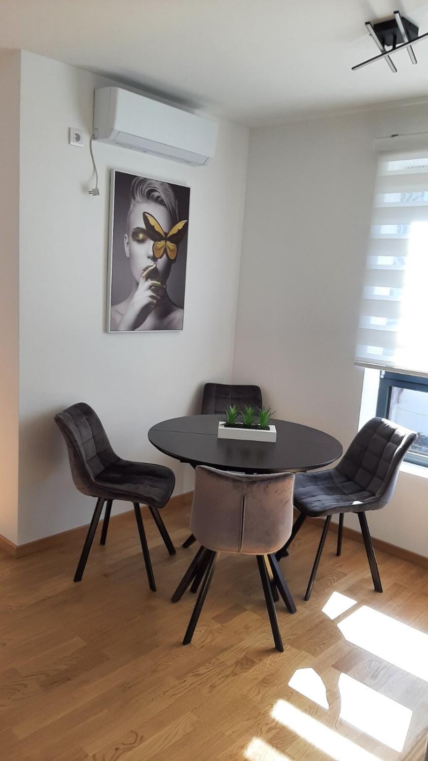 Apartman Reina Apartment in Serbia