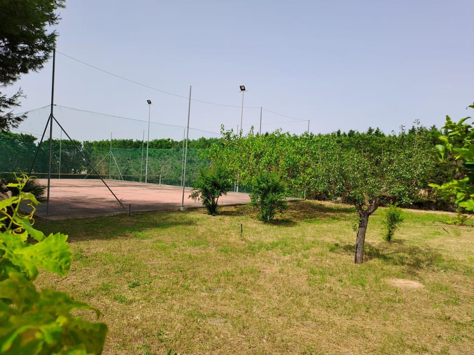 Tennis court