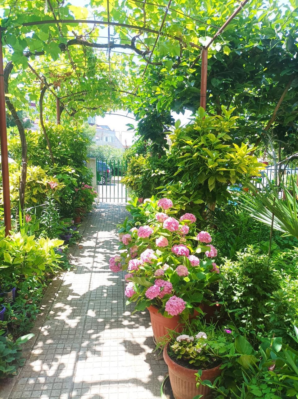 Kiki - family apartment Apartment in Burgas Province
