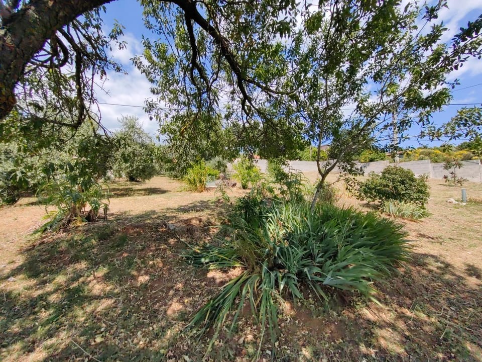 Natural landscape, Garden