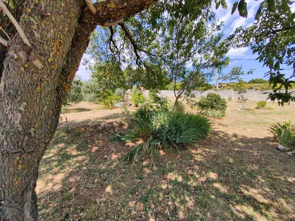 Garden, Garden