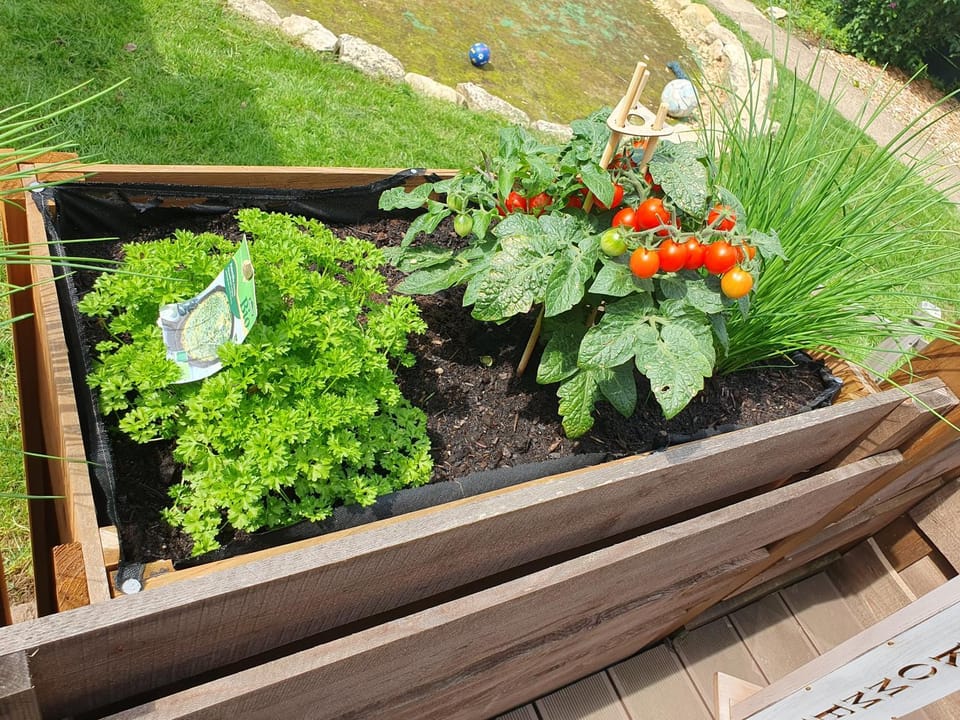 FeWo Weismark Apartment in Trier