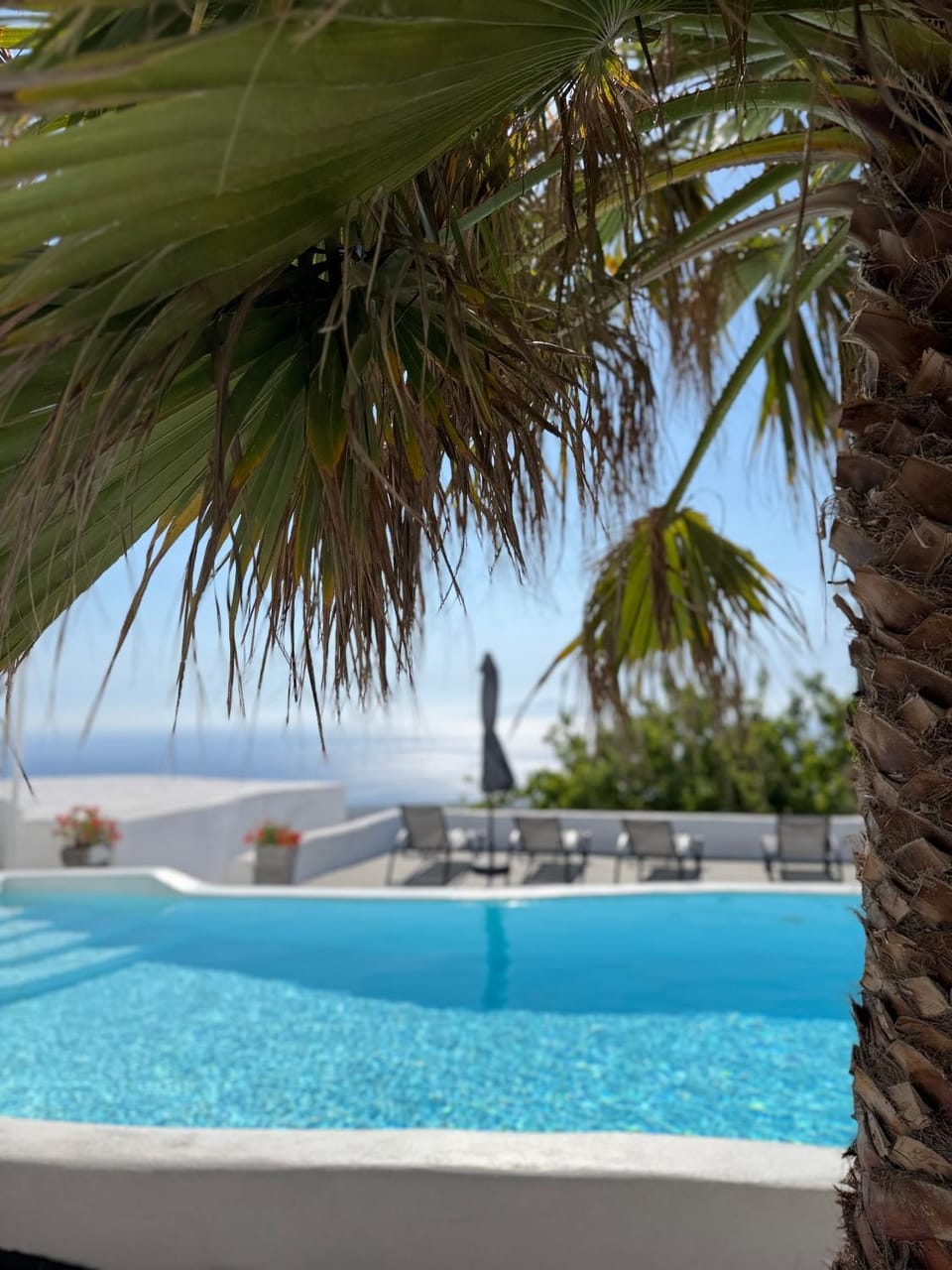 Cueva Con Vista Studios Apartment in Santorini