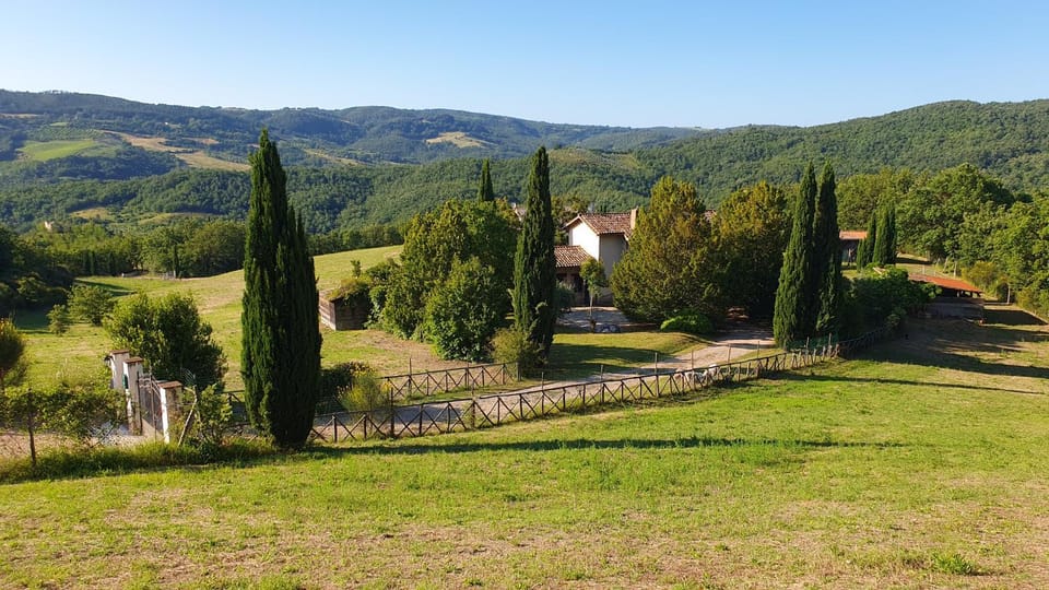 Garden, View (from property/room)
