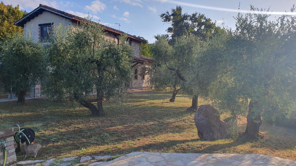 Garden, Garden, Garden view