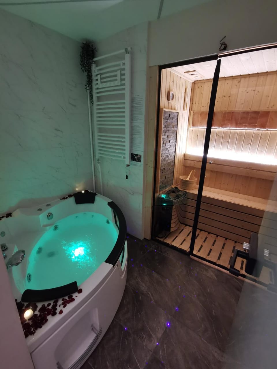 Princ Lux jaccuzi and sauna with free parking Apartment in Novi Sad