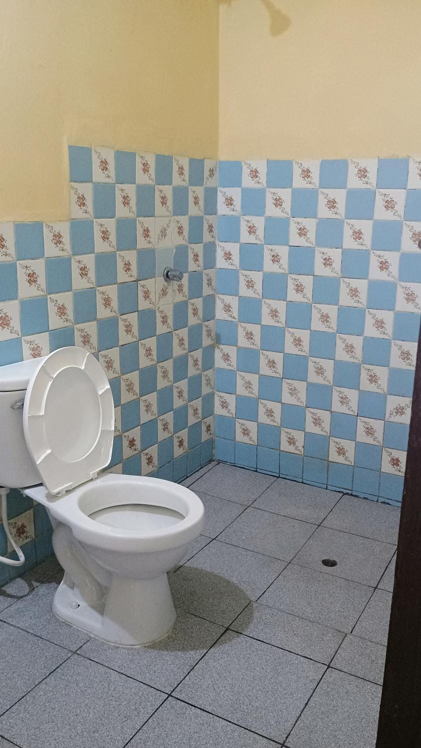Toilet, Bathroom