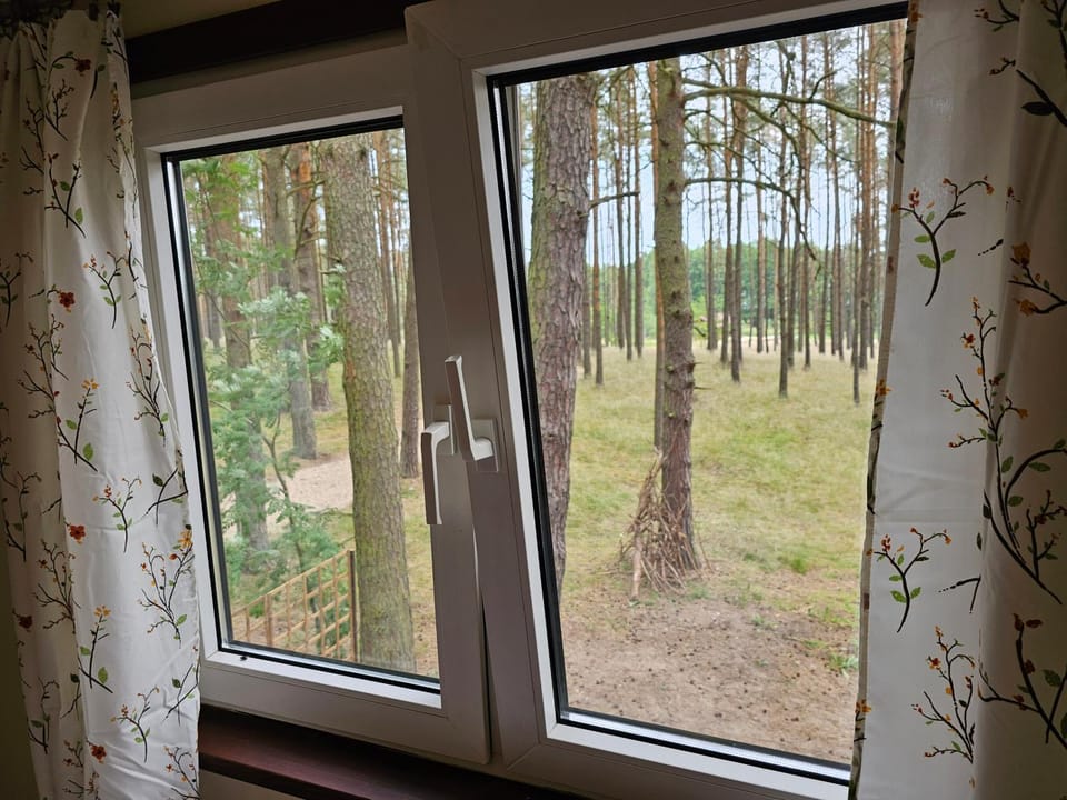 View (from property/room), Garden view