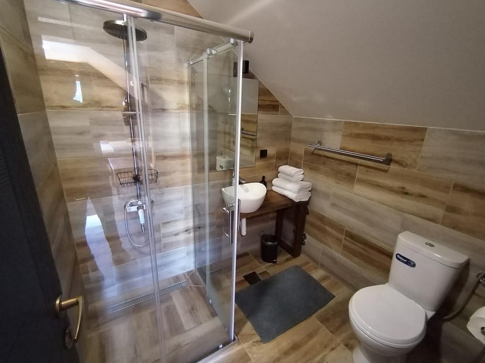 Shower, Toilet, Bathroom, towels