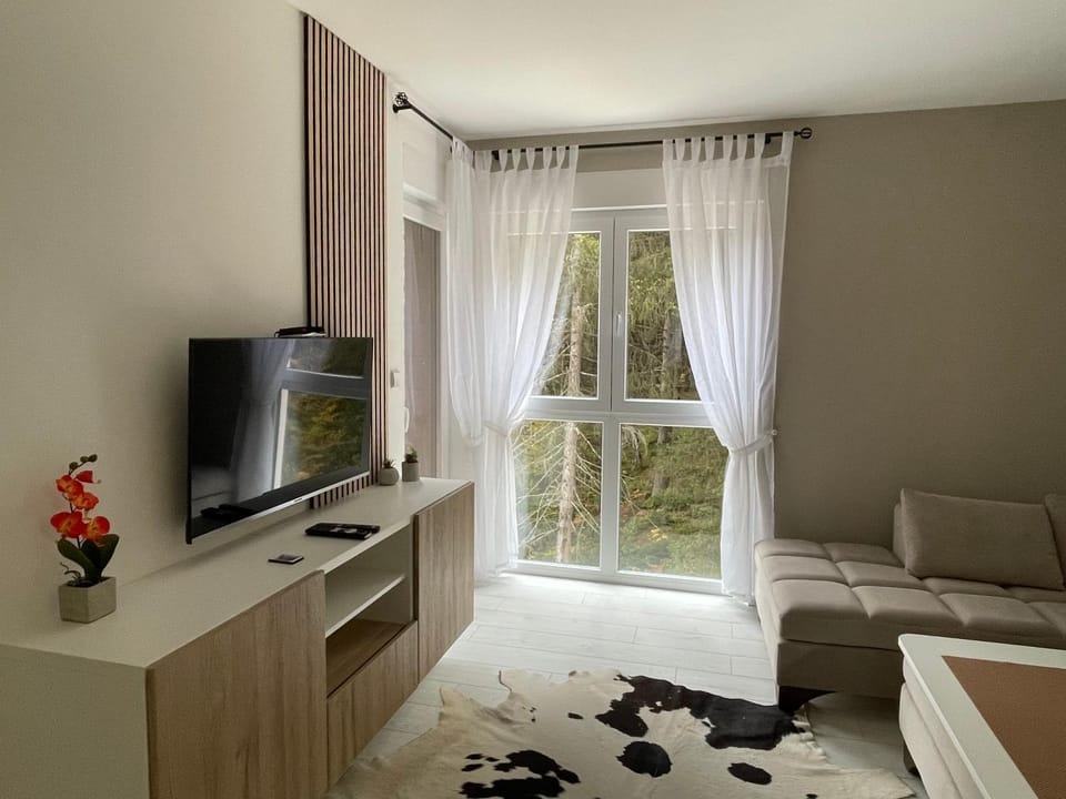 Bed, TV and multimedia, Living room, Photo of the whole room, Seating area