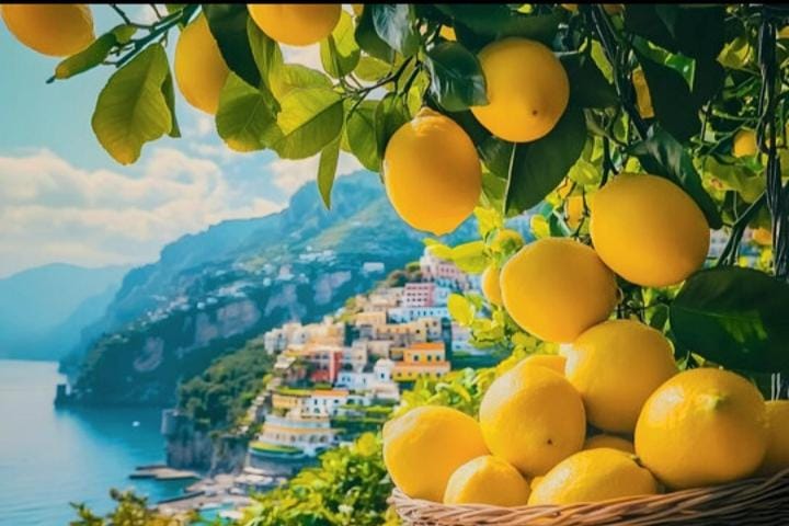 Mamma Titina Holiday House, Amalfi Coast Apartment in Furore