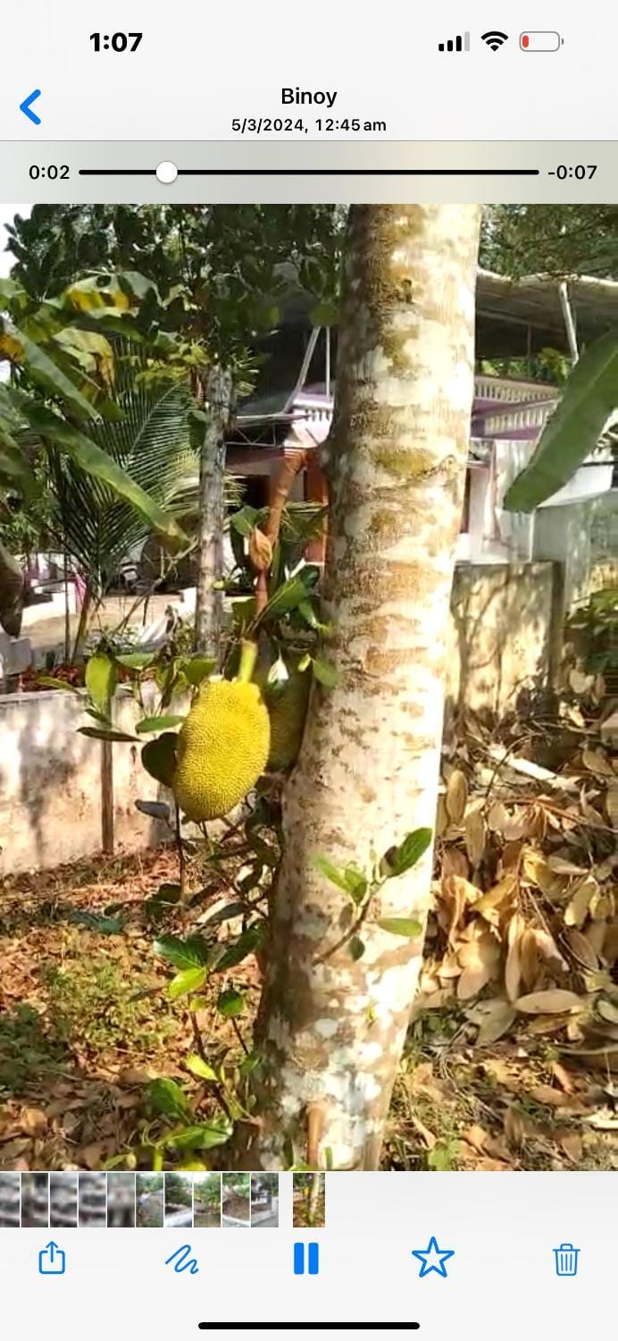 Holiday homes in kidangoor kottayam kerala House in Kerala