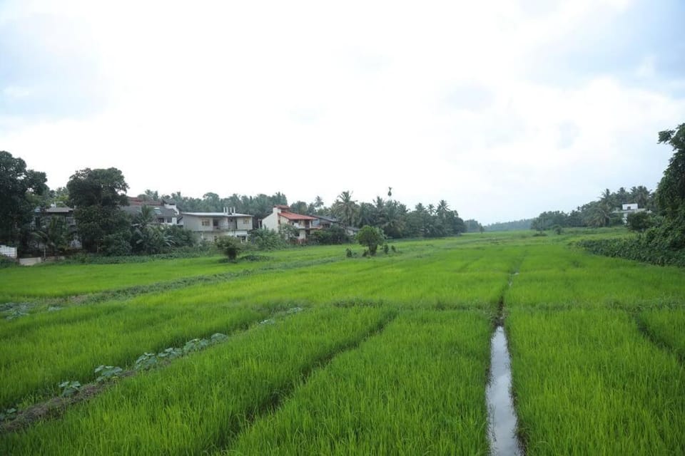 Natural landscape