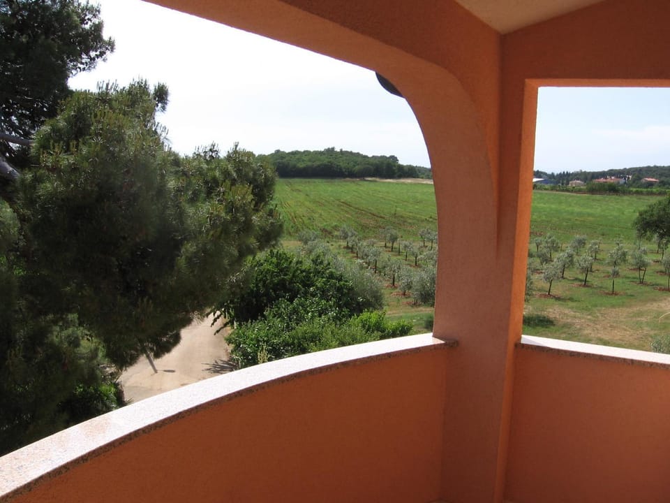 Balcony/Terrace, Garden view