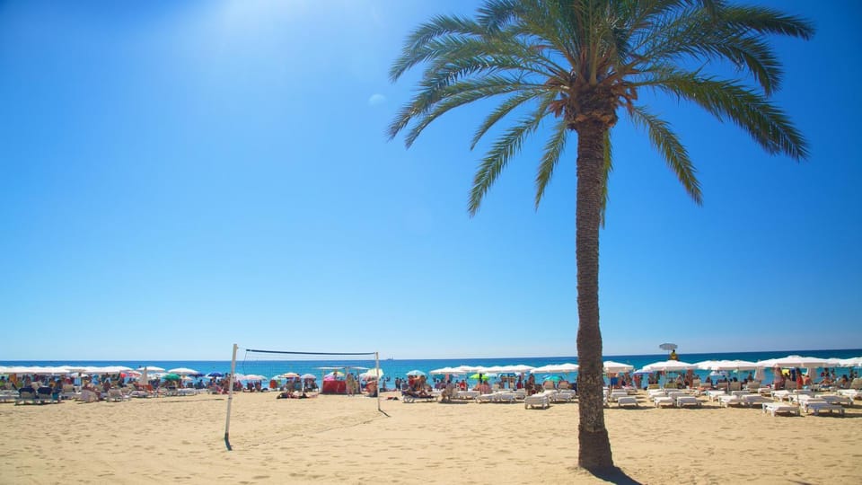 Nearby landmark, Day, Natural landscape, Beach, Sea view, sunbed