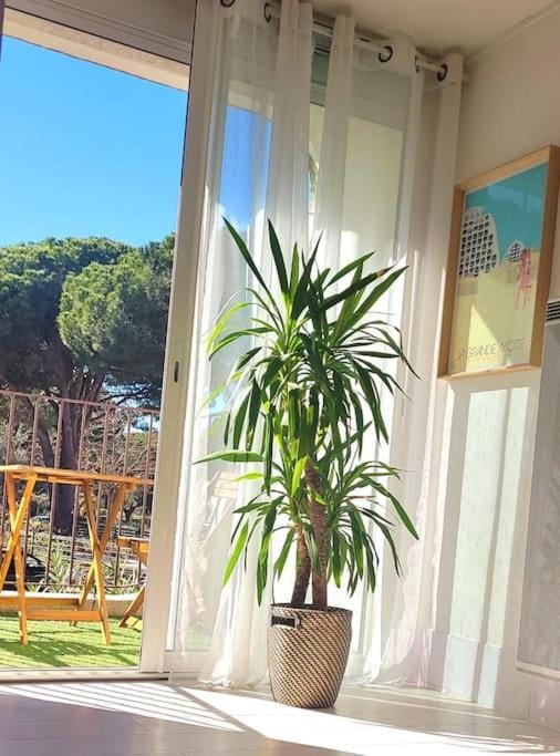 Superbe studio au calme à 8mn de la plage Apartment in La Grande-Motte