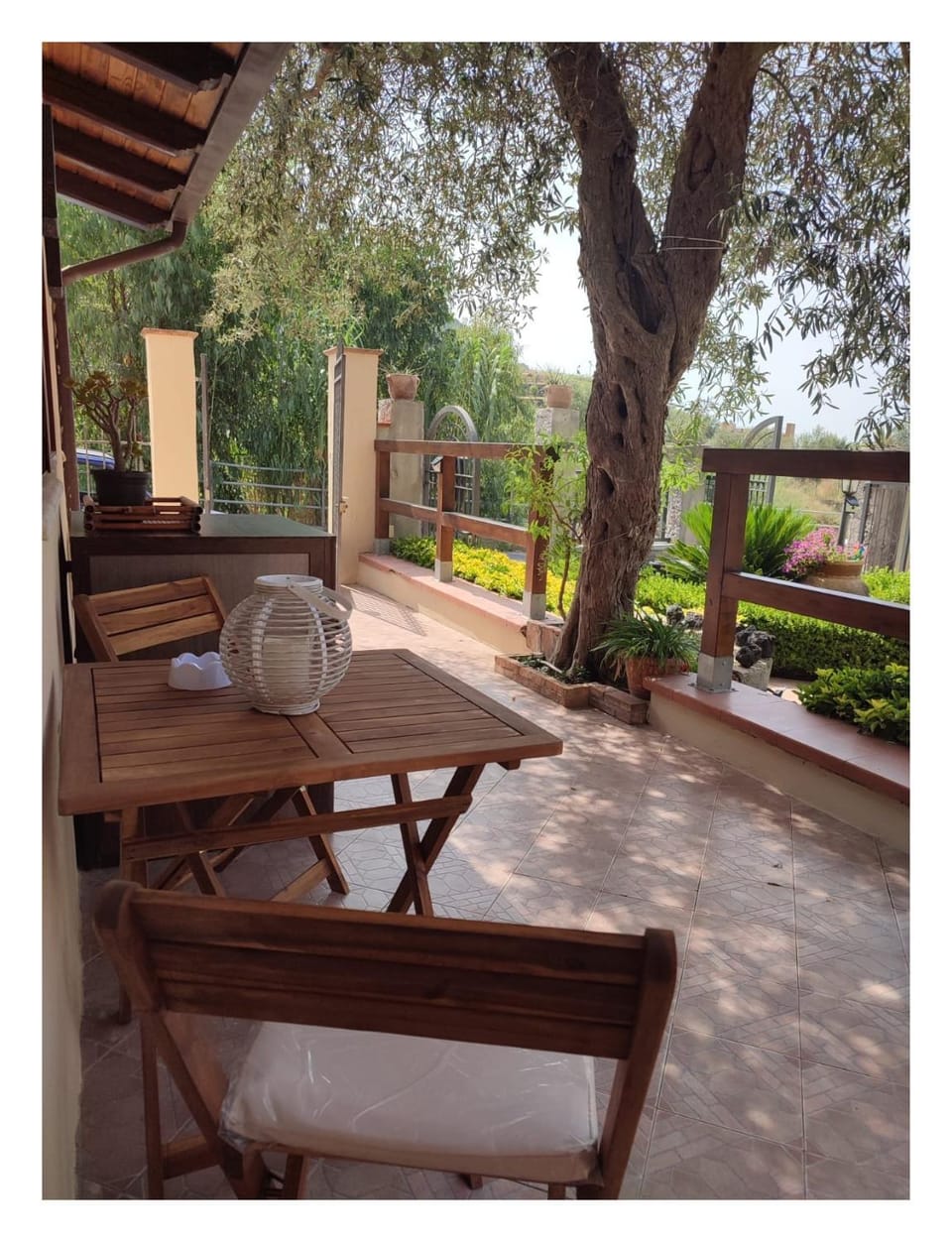 Garden view