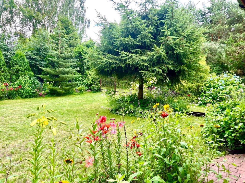 Spring, Day, Natural landscape, Garden, Garden view