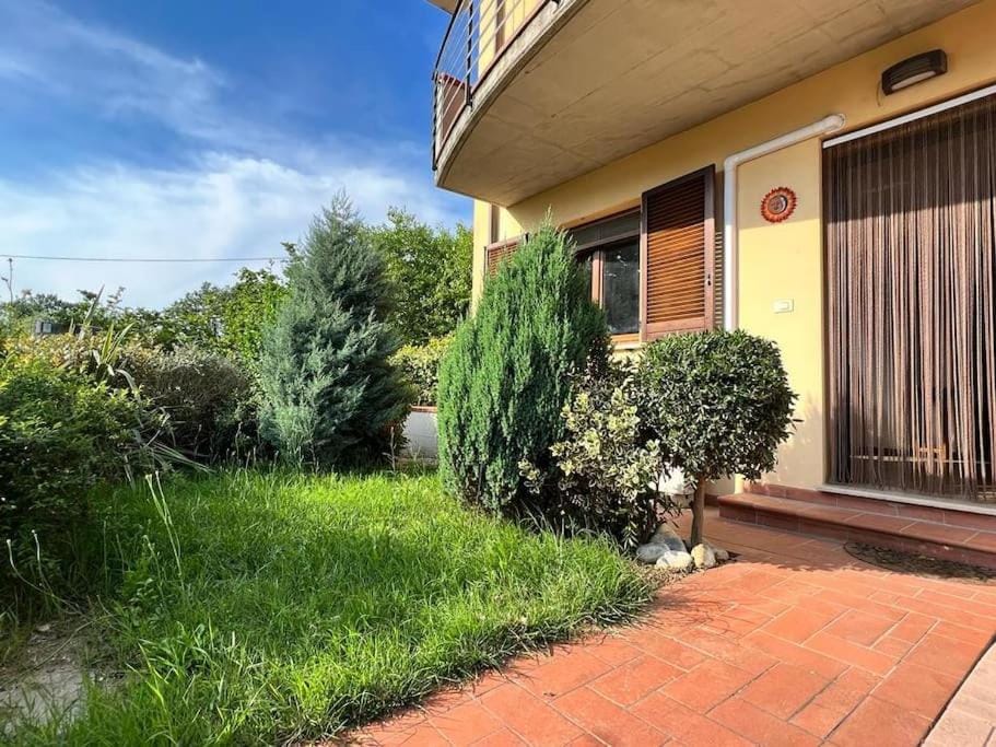 Property building, Garden, Garden view