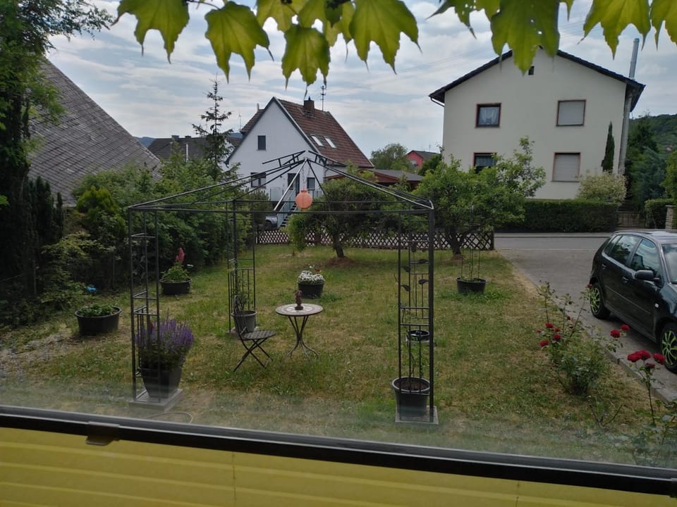 View (from property/room)