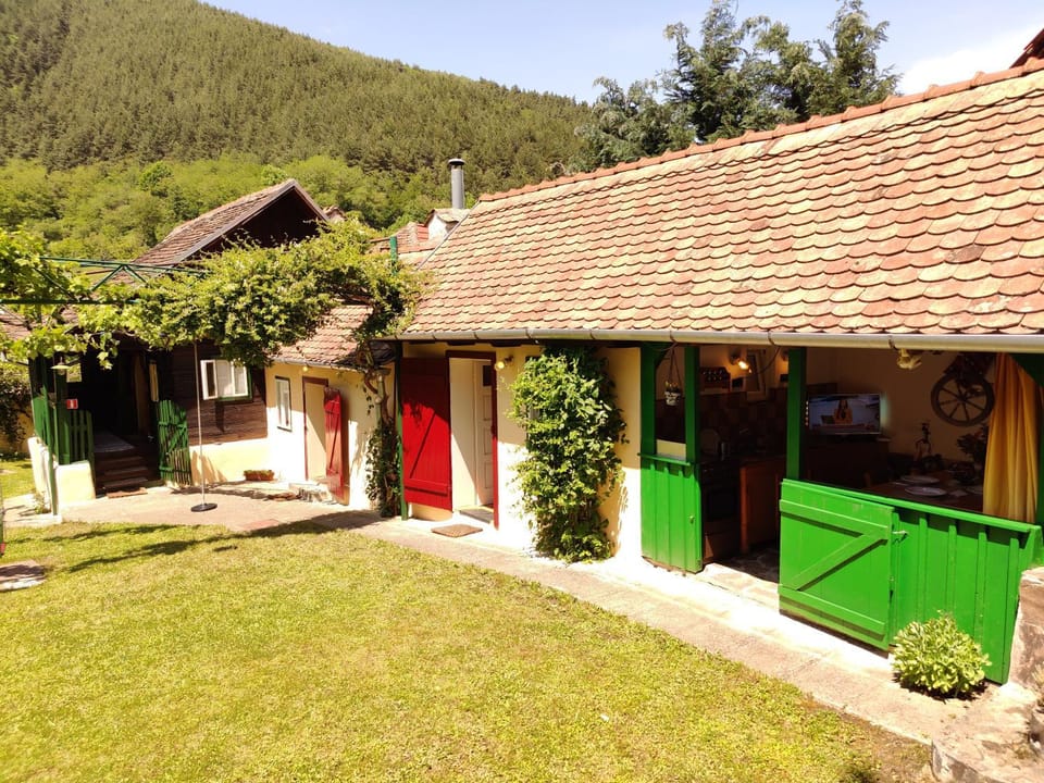 Casa Florica wooden house House in Romania