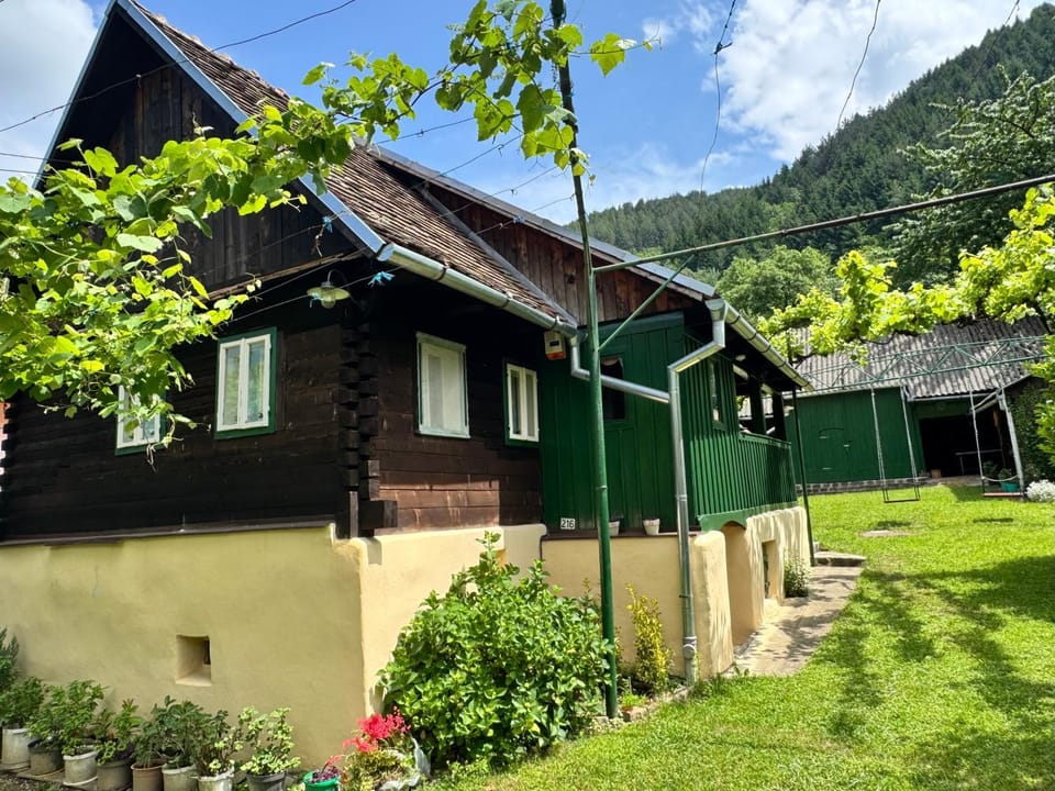 Casa Florica wooden house House in Romania