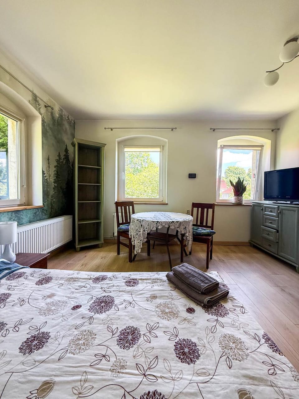 Photo of the whole room