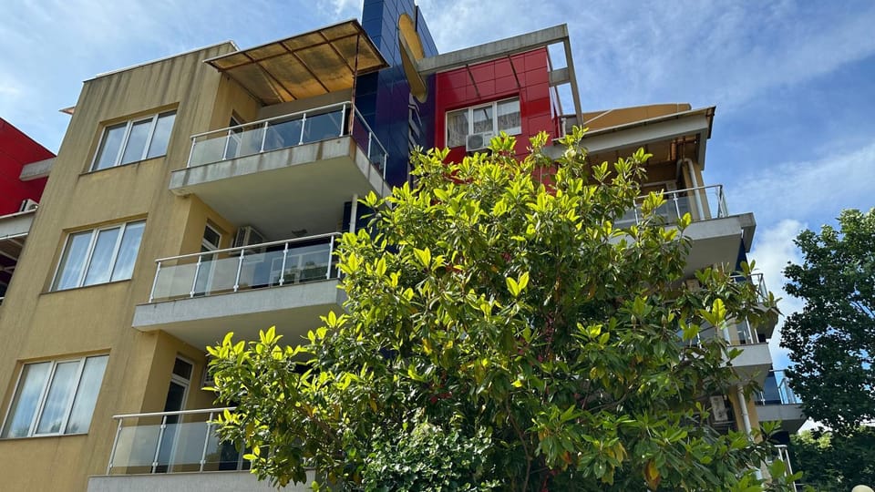 Property building, Day