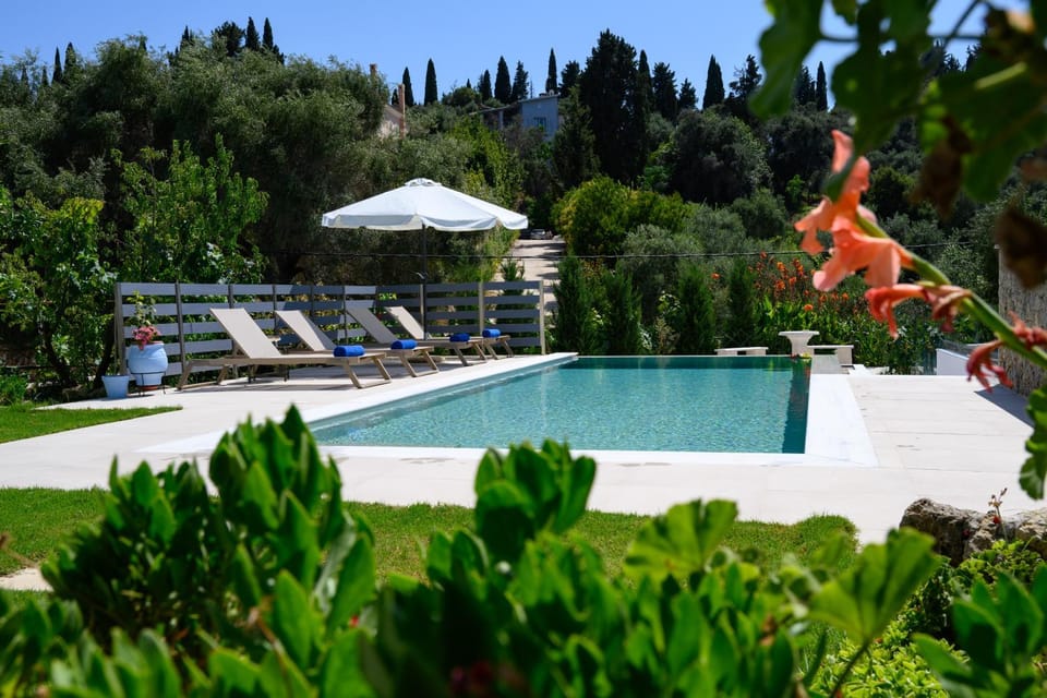 Spring, Day, Natural landscape, Garden, Garden view, Pool view, Swimming pool, sunbed