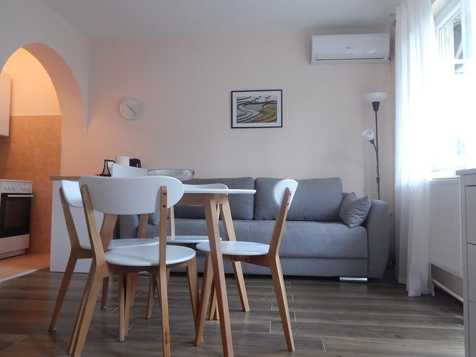 Apartman Luka Apartment in Serbia