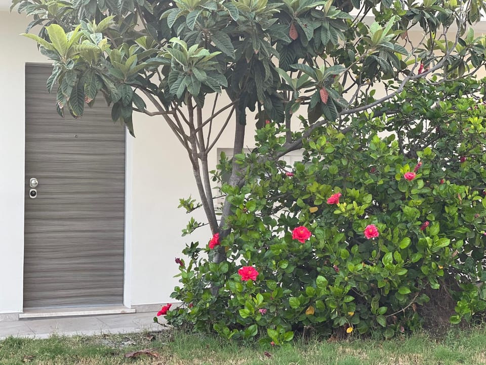 Property building, Garden