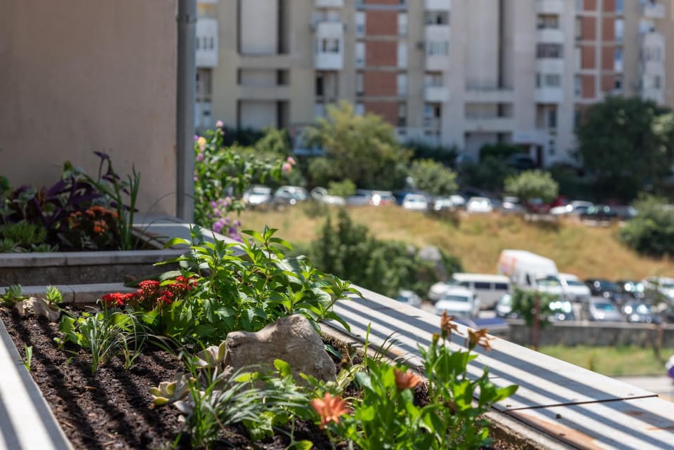 Garden, Garden view
