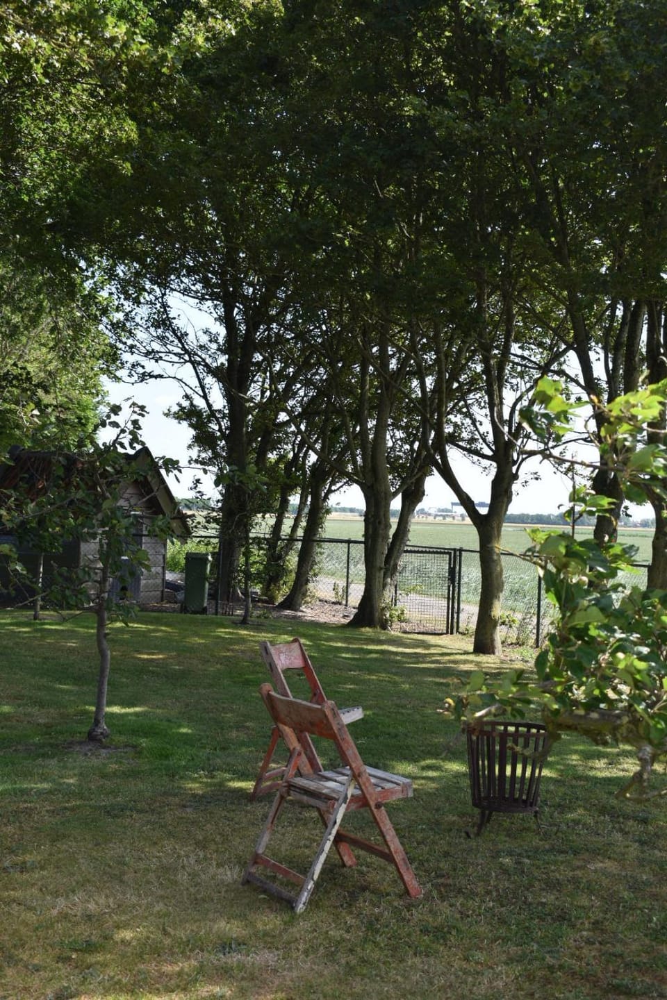 Garden, Garden view, Garden view