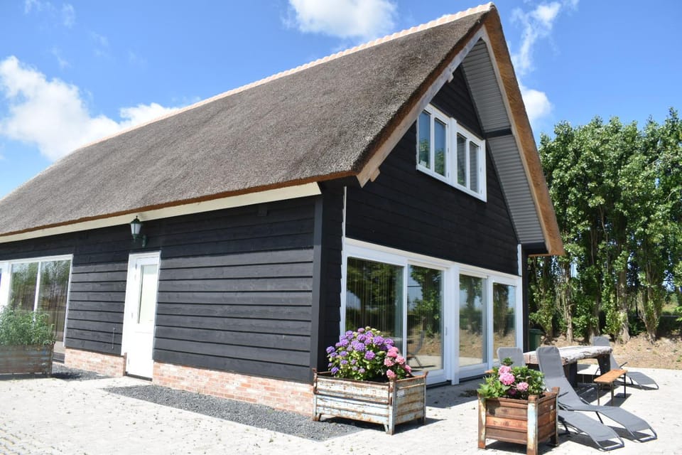 Property building, Day, Garden, Garden view