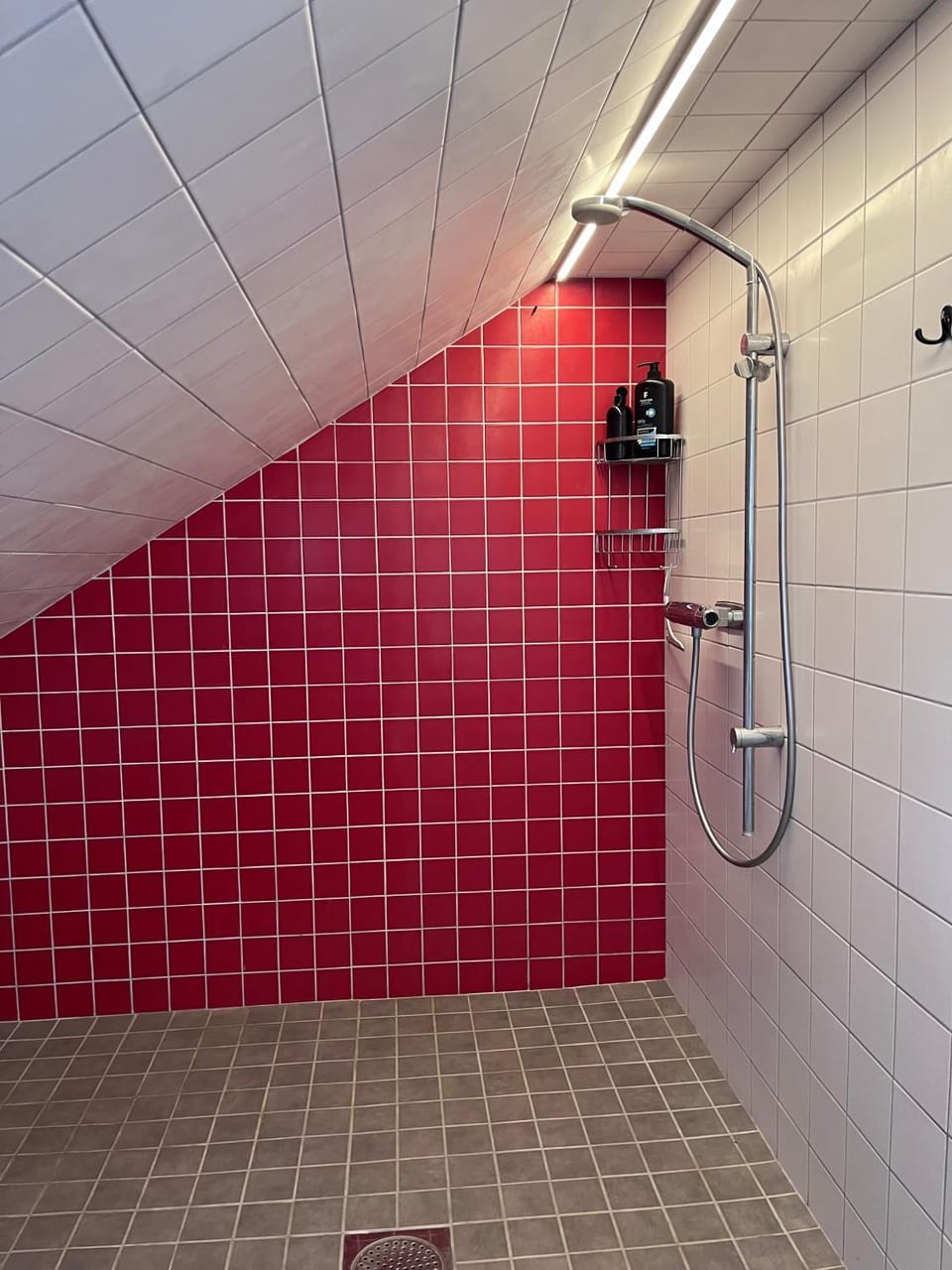 Trevligt rum för två personer med eget badrum Vacation rental in Skåne County