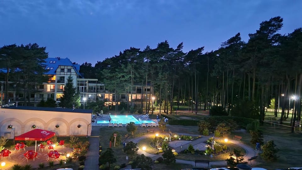 Night, Garden, Garden view, Pool view, Swimming pool