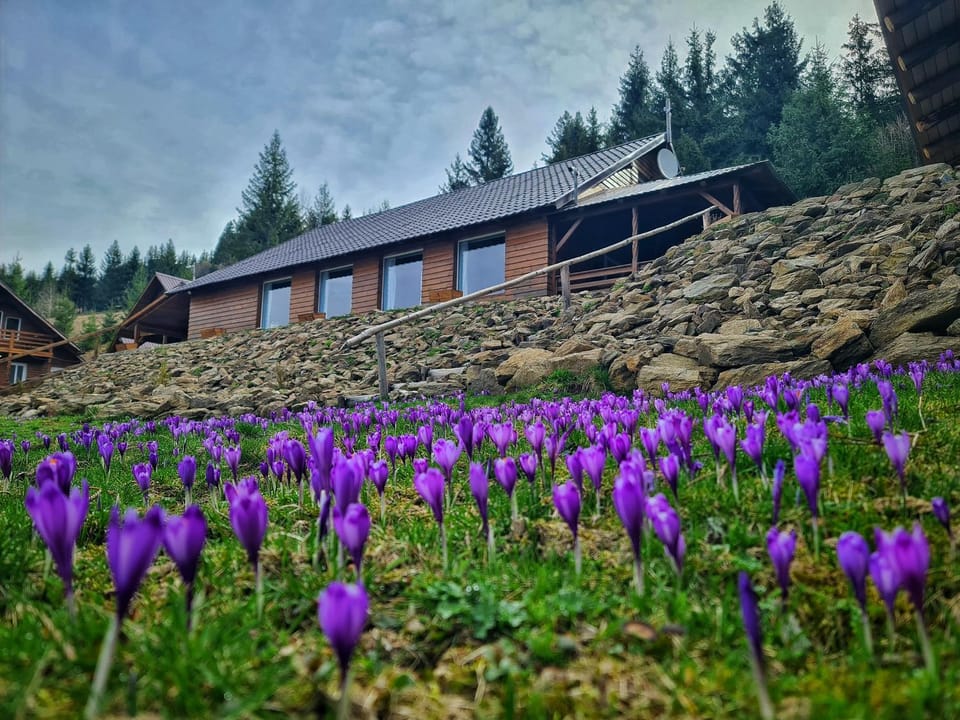 Cabana Dor de Apuseni Nature lodge in Cluj County