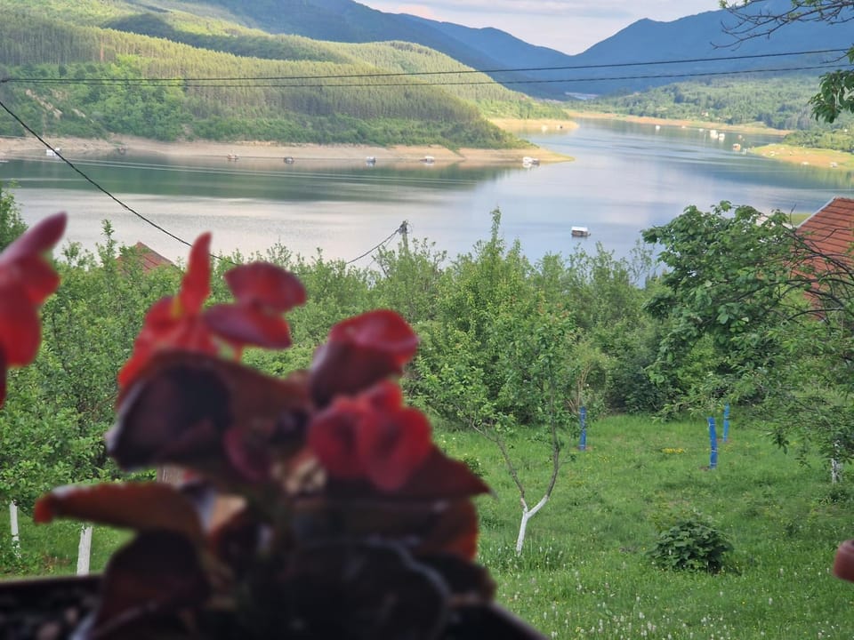 Zavojsko jezero - kuća Mitić House in Serbia