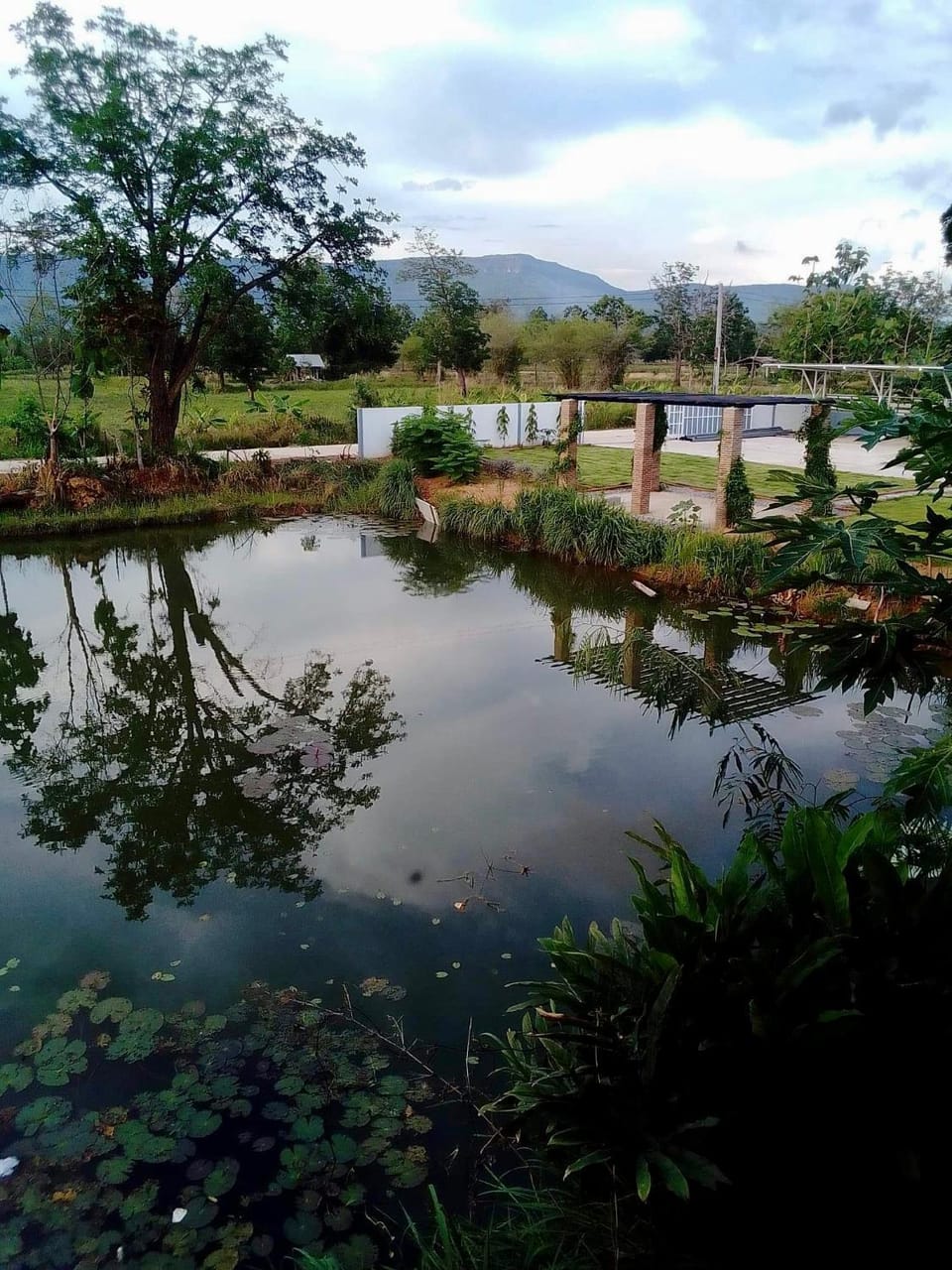 บ้านสวนปลายนา Ban suan pailna Bed and Breakfast in Laos