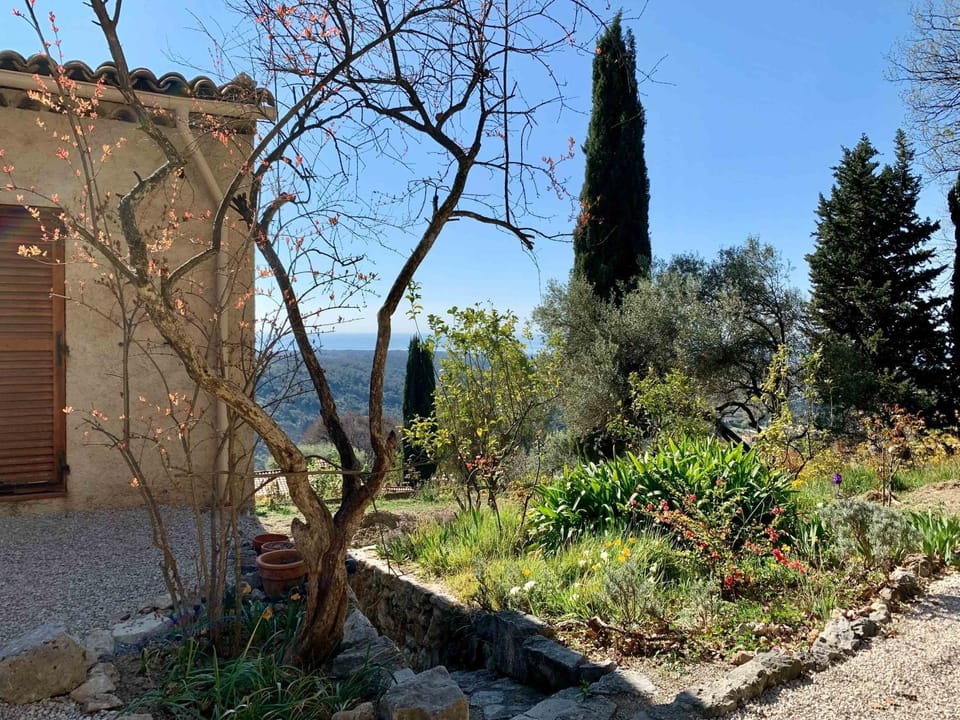 Garden view, Sea view