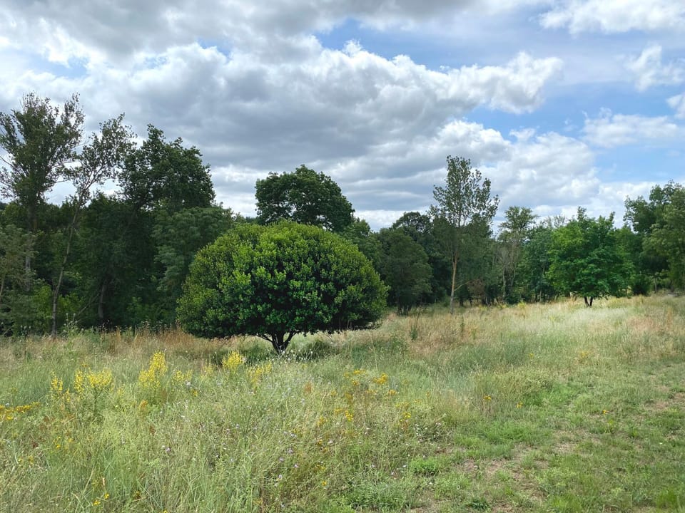 Natural landscape