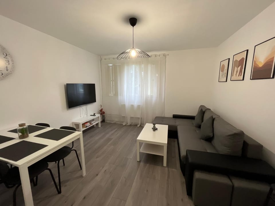 Appartement rénové - Vandoeuvre Lès Nancy Apartment in Grand Est