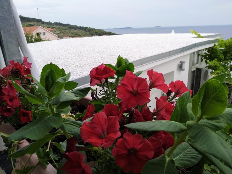 Apartments Villa Šibenik Apartment in Šibenik-Knin County, Croatia