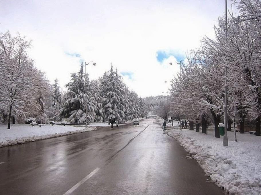 Tranquil Oasis in the Heart of Ifrane Apartment in Fez-Meknès