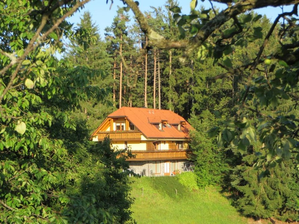 Property building, Day, Natural landscape